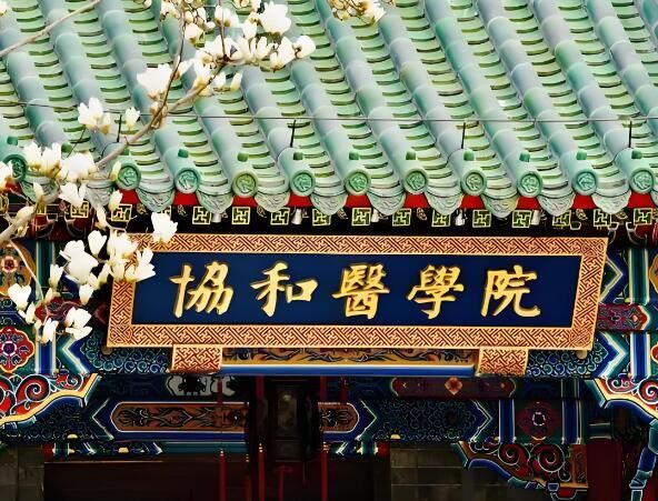 北京协和医学院.jpg