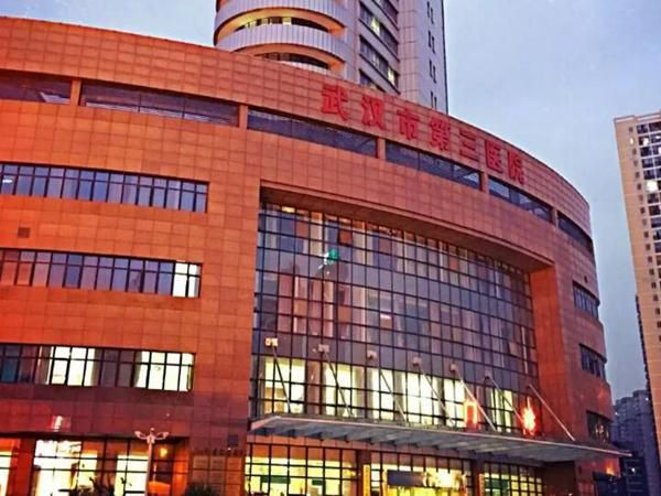 武汉市第三医院.jpg