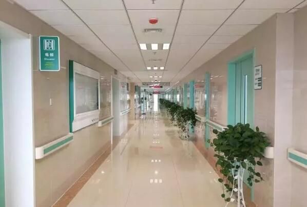 1724816814940723.jpg 43.jpg