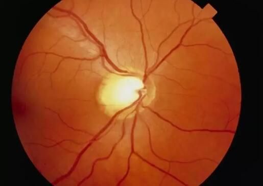 1725617585277105.jpg QQ截图20240806185104.jpg