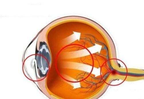 1726309652766494.jpg QQ截图20240806185048.jpg