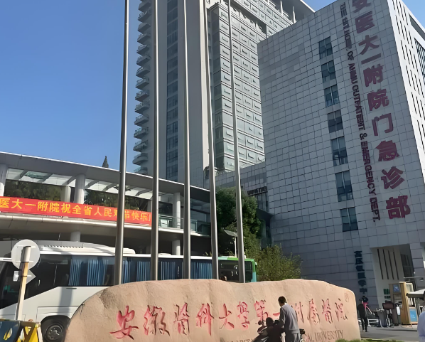 1730197600916835.jpg 安徽省医科大学第一附属医院.jpg