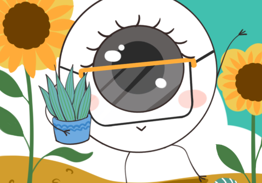 青光眼1.jpg